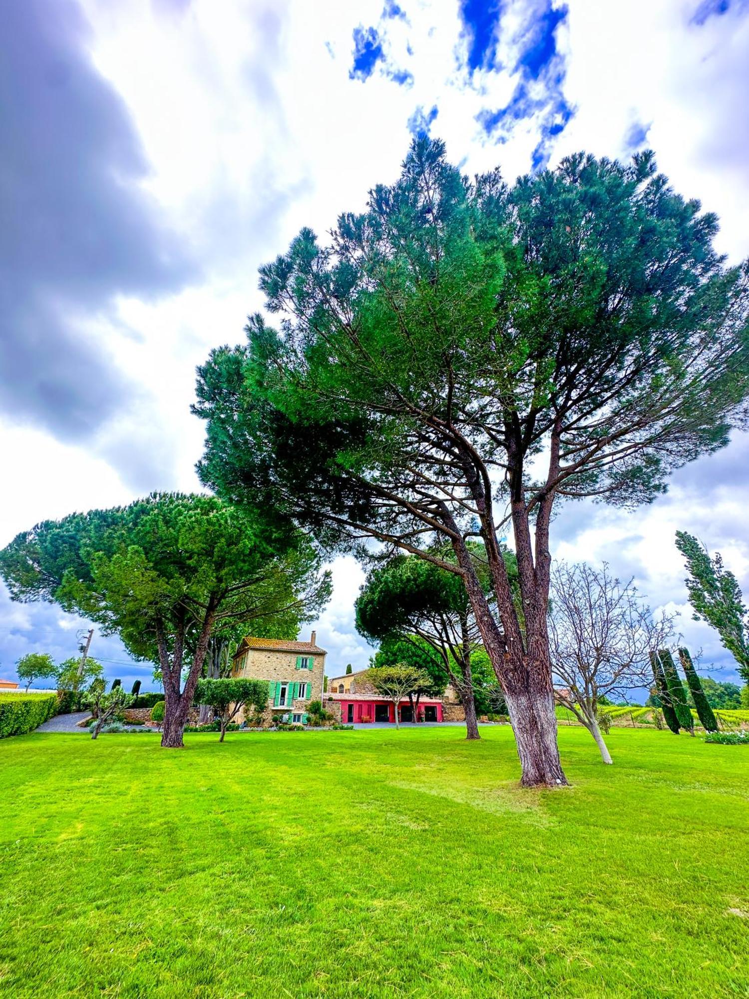 Domaine La Mouline 佩兹纳斯 外观 照片