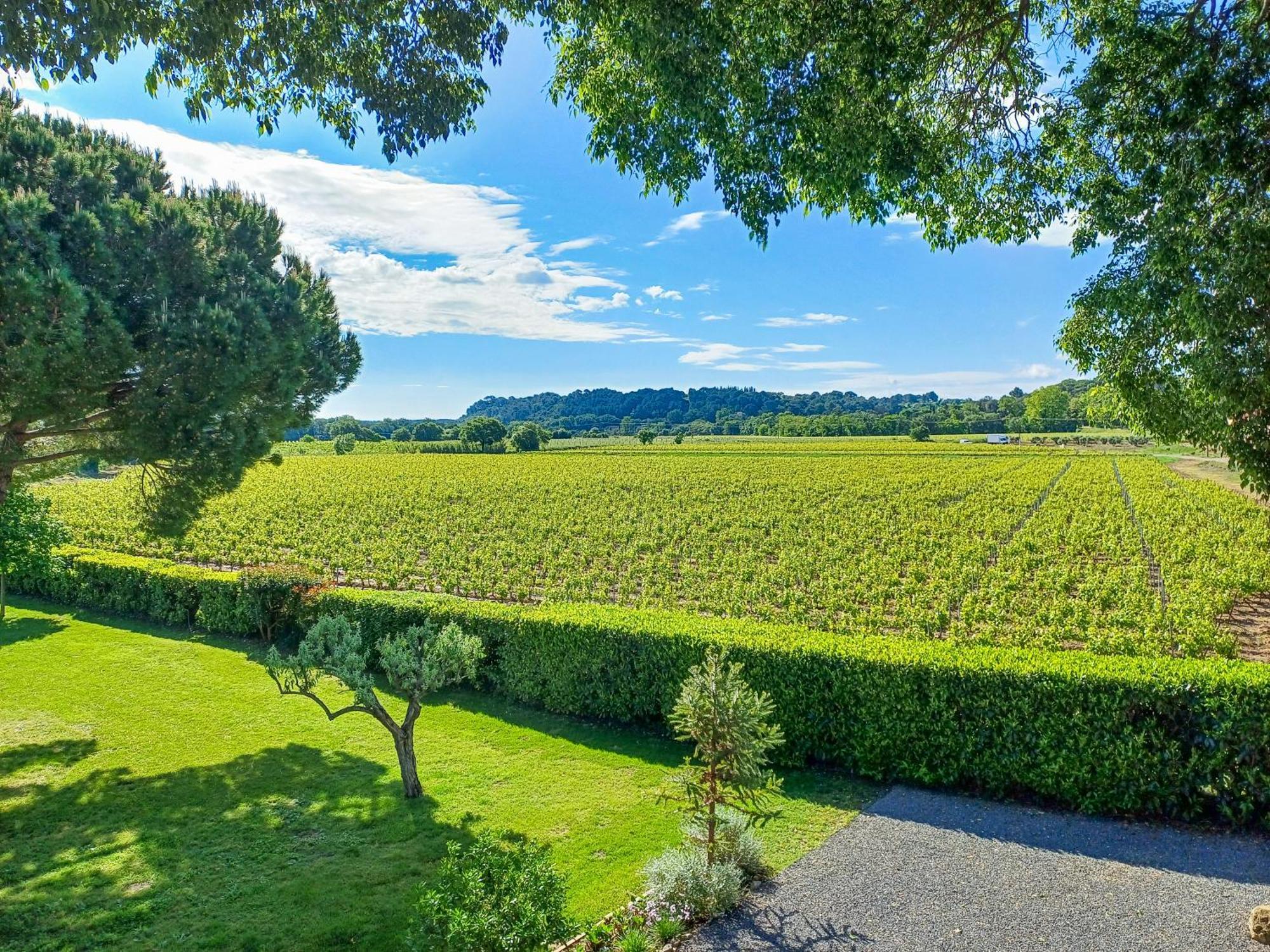Domaine La Mouline 佩兹纳斯 外观 照片
